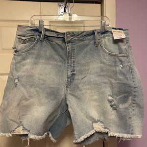 Terra & Sky Plus Denim Long Shorts